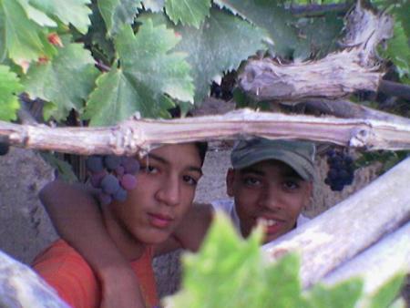 moi et hamza
